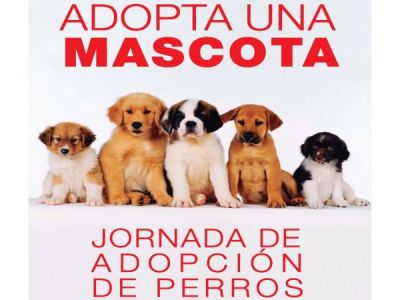 Jornada de Adopción Perros