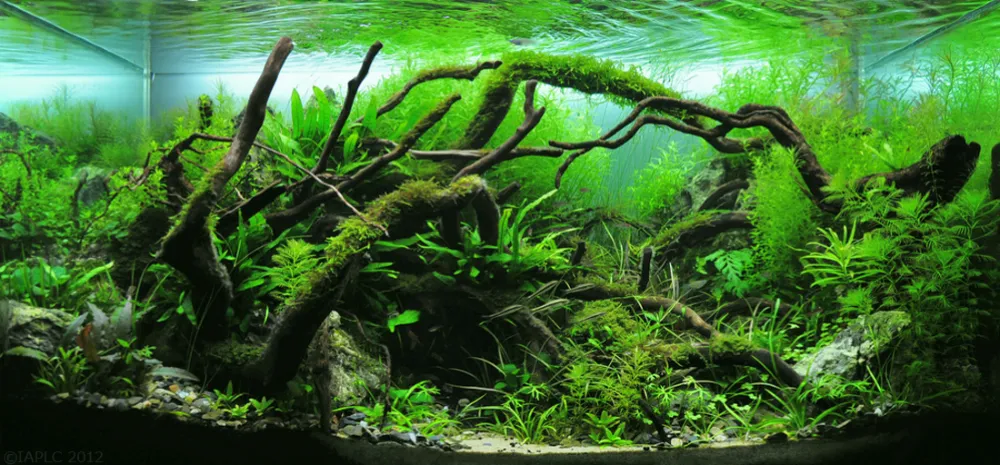 El agua del acuario: cloro, pH y dureza