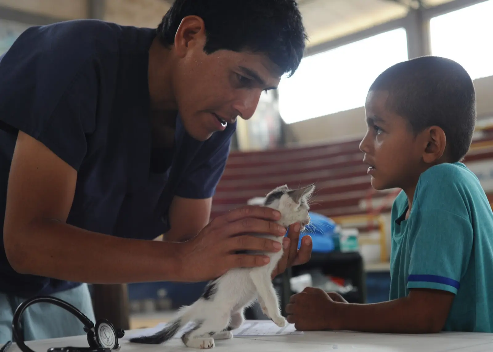 Veterinario revisando el gato de un niño
